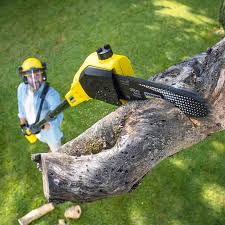 Best Pest Control for Lawns  in Elgin, OR