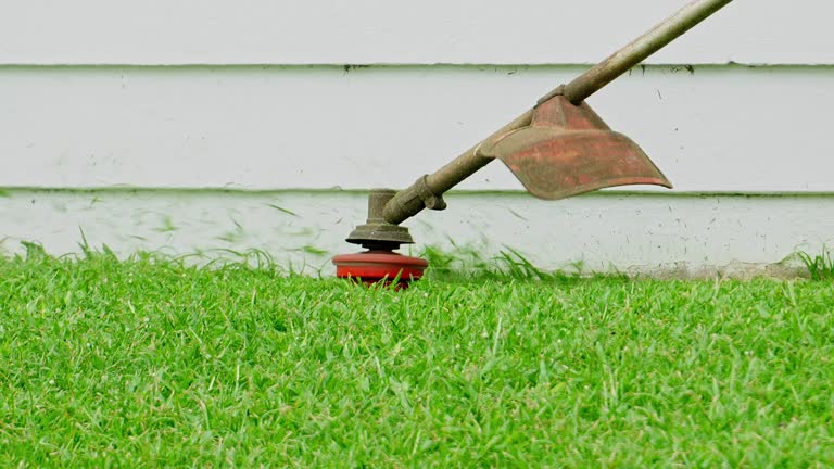 Best Lawn Grading and Leveling  in Elgin, OR